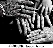 5 Generations 5 Generations