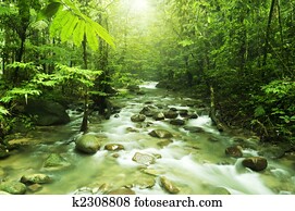 Mountain stream Mountain stream