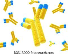 antibodies antibodies