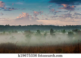Morning mist and sky.
