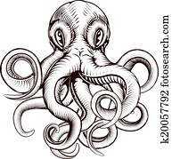 Octopus illustration Octopus illustration