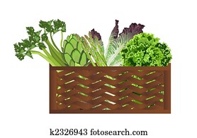 Vegetables in the baske Vegetables in the baske