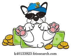 white french bulldog puppy