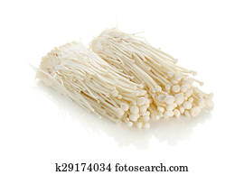 Ihracat 1 Kg Fiyat Anda Enoki Mantar Kurutulmus Buy Enoki Mantar Fiyat Enoki Mantar Kurutulmus Enoki Mantar Product On Alibaba Com