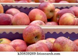 Red apples harvest home, differential focus.