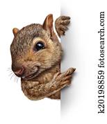 Squirrel Sign Squirrel Sign