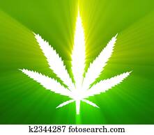 Marijuana leaf illustration Marijuana leaf illustration