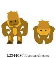 Monkey Monkey