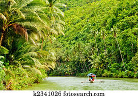 Rainforest River Cruise Rainforest River Cruise