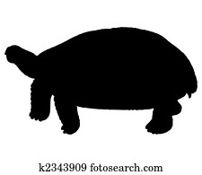 The black silhouette of a turtle The black silhouette of a turtle