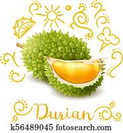 Exotic Fruit Durian Doodles Composition