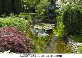 peaceful garden. summertime