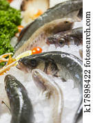 Seafood Seafood