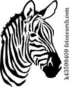 Zebra head Zebra head