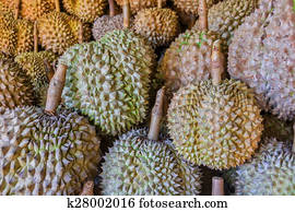 Philippines Durian
