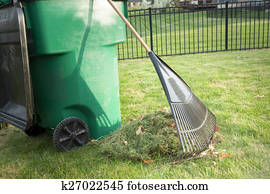 raking, cima, capim, cuttings, em, primavera