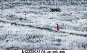 sozinha, em, a, selva