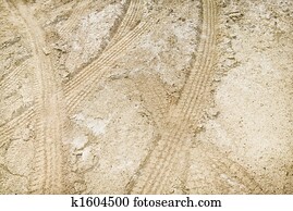 Tire tracks in dirt.