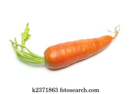 Carrot Carrot