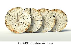 Cross section tree stump, background