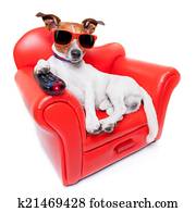 dog tv dog tv