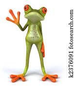 Fun frog Fun frog