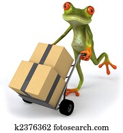 Fun frog Fun frog