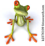 Fun frog Fun frog