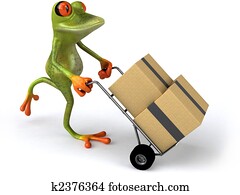 Fun frog Fun frog