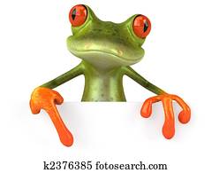 Fun frog Fun frog