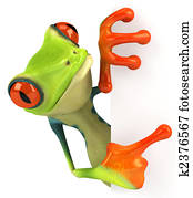 Fun frog Fun frog