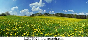 Spring Spring