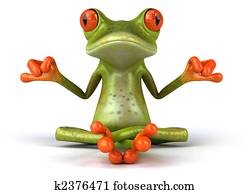 Zen frog Zen frog