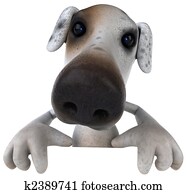 Dog Dog