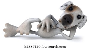 Dog Dog