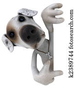 Dog Dog