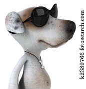 Dog Dog