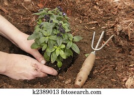 Gardening Gardening