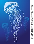 Jellyfish Jellyfish