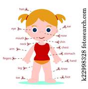 leány, hulla elválás