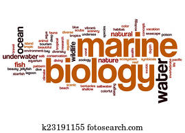 Marine biology word cloud Marine biology word cloud