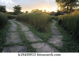 Path splits two directions, fork in the road Path splits two directions, fork in the road