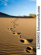Sand Footprints