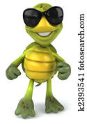 Fun turtle Fun turtle