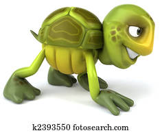 Fun turtle Fun turtle