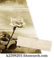 Grunge background Grunge background