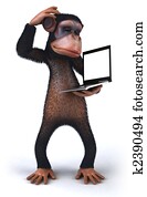 Monkey Monkey