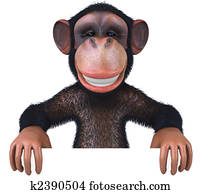 Monkey Monkey