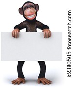 Monkey Monkey
