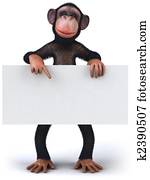 Monkey Monkey